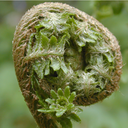 plantbiology