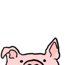 Pig Week!