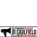 Jo Caulfield for President!