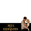 Água para elefantes