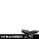 Twibbon for LIU-Brooklyn Blackbirds