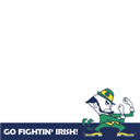 Notre Dame Fighting Irish