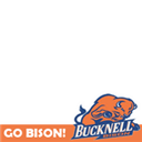 Twibbon for Bucknell Bison