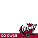 Twibbon for Temple Owls