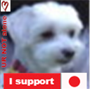 4PawsTV