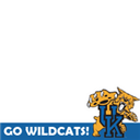 Kentucky Wildcats