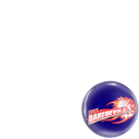 Delhi Daredevils