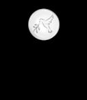 qassoom