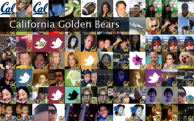 California Golden Bears Twibute 100