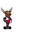 kashima_antlers