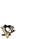 Pittsburgh Penguins #2