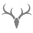 kashima_antlers