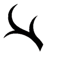 kashima_antlers