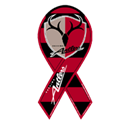 kashima_antlers