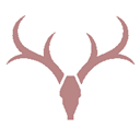 kashima_antlers