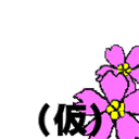 air_sakura_fes03