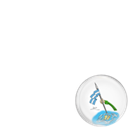 Malvinas Argentinas