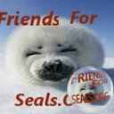 FriendsForSeals