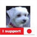 4PawsTV