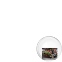 São Paulo FC