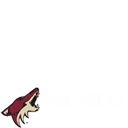 Coyotes Whiteout
