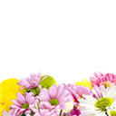 Ginza_Flower_Letters_No.6