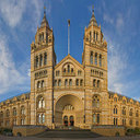 NHM_London