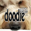 DoodleManiacouk