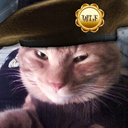 MoggyAndMe