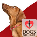 DogsWithHeart
