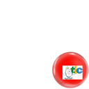 Estudio de las TIC