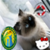 MELIBABY333