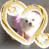 yuka_kona