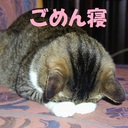 check7777