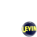 Levin for Congress