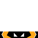 Wolverhampton Wanderers FC