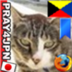 Shion_cat