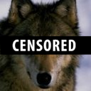 Siliconwolf