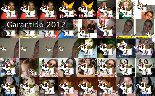 Garantido 2012 Twibute 50