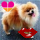 coucouikuko