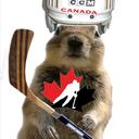 Banff_Squirrel