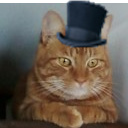 Twaddlecat