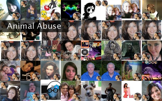 Animal Abuse Twibute 50
