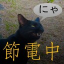 catlikerobot