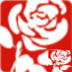 ManchesterRose