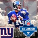 NY_Giantsrock