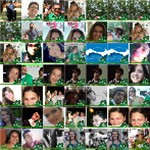 A Força do Novo - Cícero 43 Twibute 50