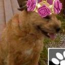 Dogstoyevsky