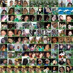 A Força do Novo - Cícero 43 Twibute 100