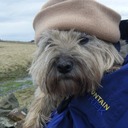 frugaldougal